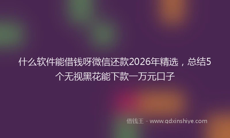 什么软件能借钱呀微信还款2026年精选，总结5个无视黑花能下款一万元口子