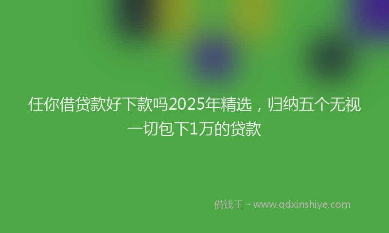 任你借贷款好下款吗2025年精选，归纳五个无视一切包下1万的贷款