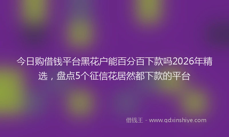 今日购借钱平台黑花户能百分百下款吗2026年精选,盘点5个征信花居然都下款的平台