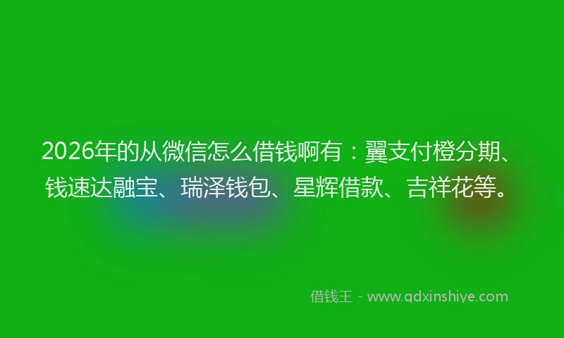 2026年的从微信怎么借钱啊有：翼支付橙分期、钱速达融宝、瑞泽钱包、星辉借款、吉祥花等。