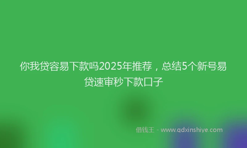 你我贷容易下款吗2025年推荐，总结5个新号易贷速审秒下款口子