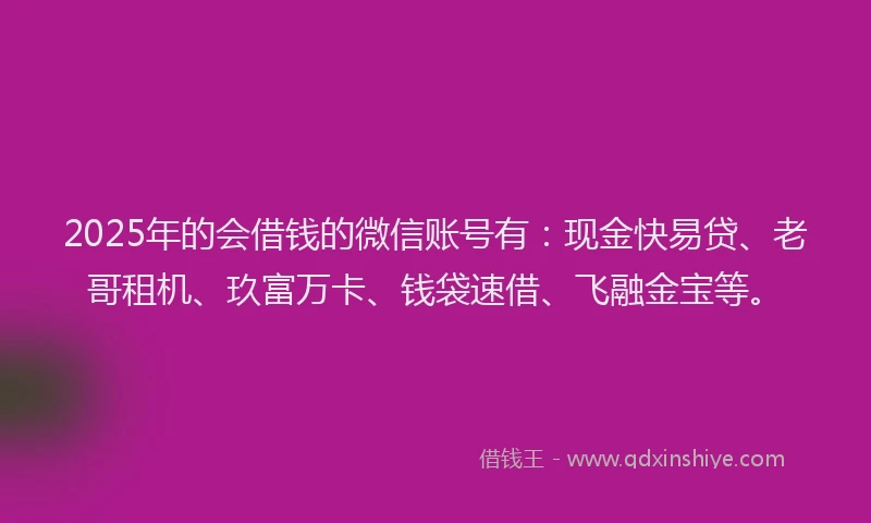 2025年的会借钱的微信账号有：现金快易贷、老哥租机、玖富万卡、钱袋速借、飞融金宝等。