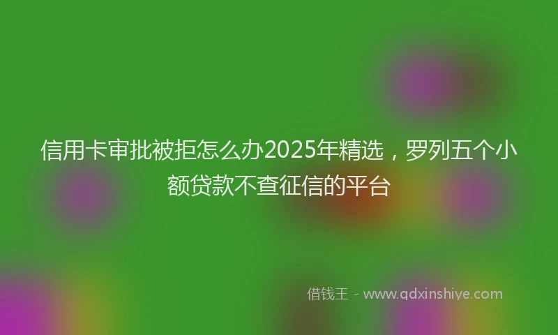 信用卡审批被拒怎么办2025年精选，罗列五个小额贷款不查征信的平台