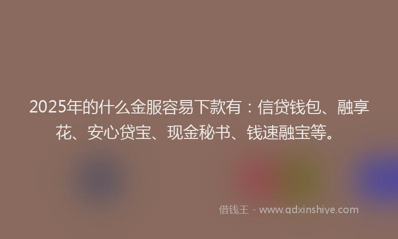2025年的什么金服容易下款有：信贷钱包、融享花、安心贷宝、现金秘书、钱速融宝等。