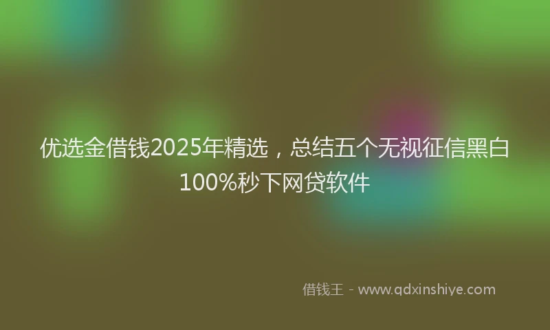 优选金借钱2025年精选,总结五个无视征信黑白100%秒下网贷软件
