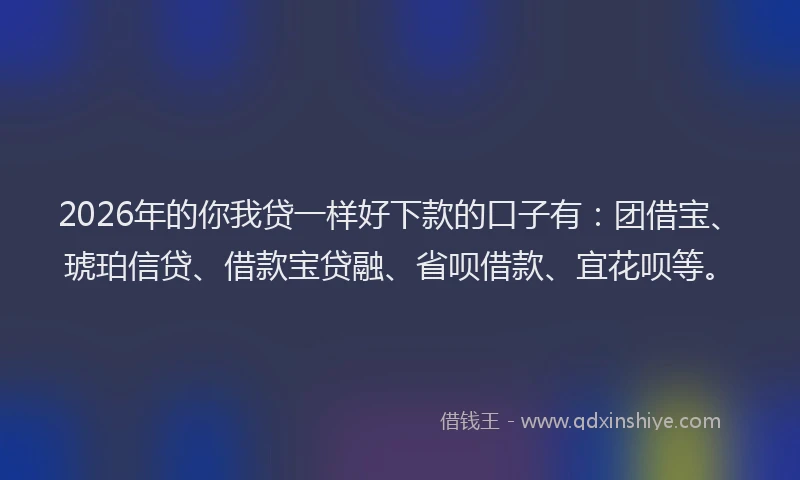 2026年的你我贷一样好下款的口子有：团借宝、琥珀信贷、借款宝贷融、省呗借款、宜花呗等。