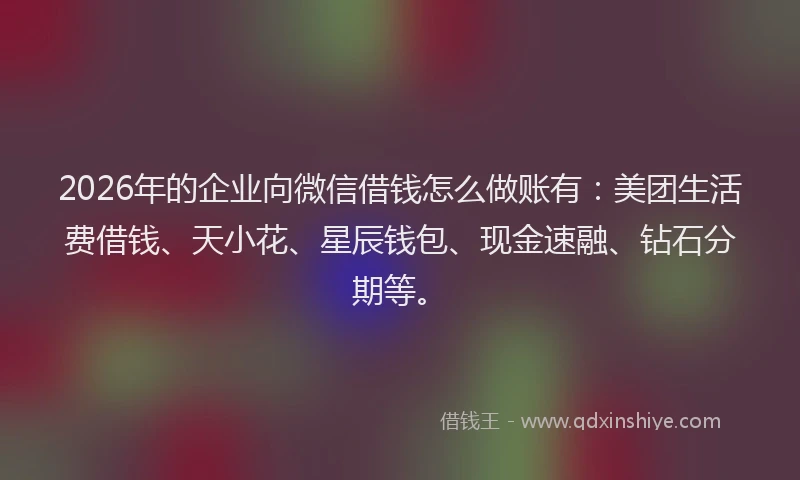 2026年的企业向微信借钱怎么做账有：美团生活费借钱、天小花、星辰钱包、现金速融、钻石分期等。