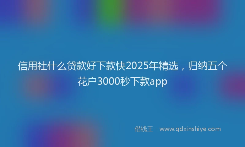 信用社什么贷款好下款快2025年精选，归纳五个花户3000秒下款app