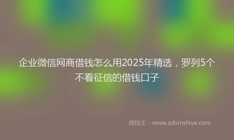 企业微信网商借钱怎么用2025年精选，罗列5个不看征信的借钱口子