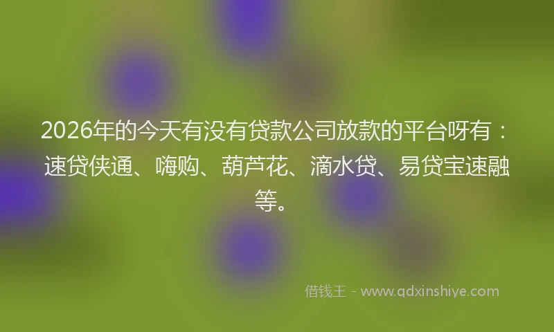 2026年的今天有没有贷款公司放款的平台呀有:速贷侠通、嗨购、葫芦花、滴水贷、易贷宝速融等。