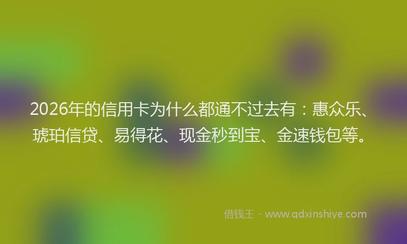 2026年的信用卡为什么都通不过去有:惠众乐、琥珀信贷、易得花、现金秒到宝、金速钱包等。