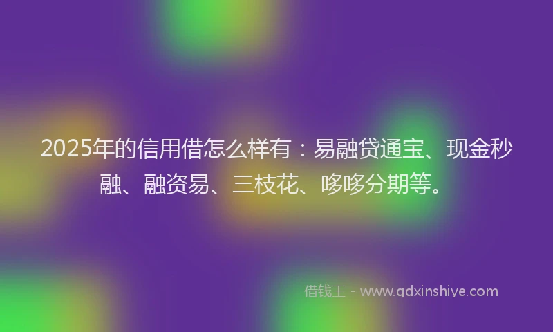 2025年的信用借怎么样有:易融贷通宝、现金秒融、融资易、三枝花、哆哆分期等。