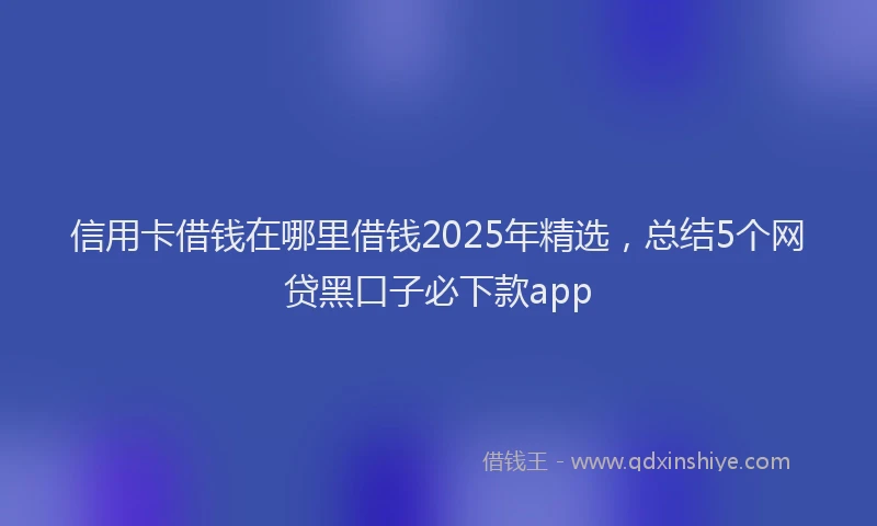 信用卡借钱在哪里借钱2025年精选，总结5个网贷黑口子必下款app