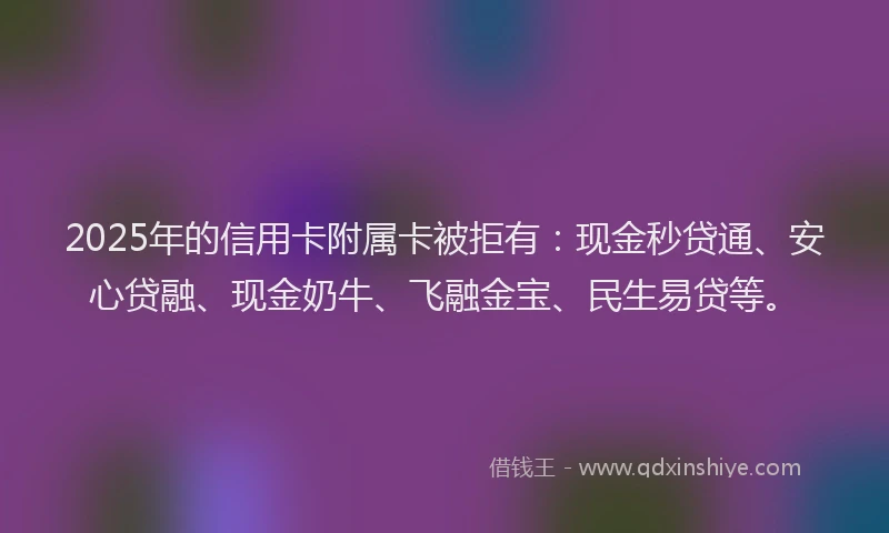 2025年的信用卡附属卡被拒有：现金秒贷通、安心贷融、现金奶牛、飞融金宝、民生易贷等。