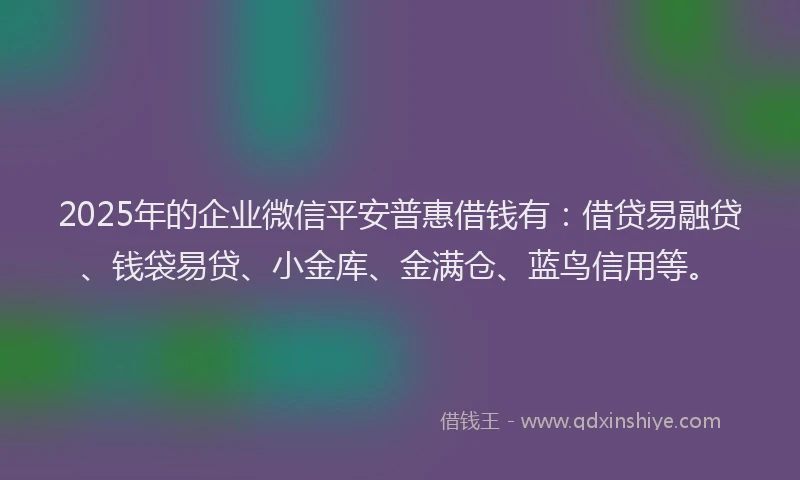 2025年的企业微信平安普惠借钱有：借贷易融贷、钱袋易贷、小金库、金满仓、蓝鸟信用等。