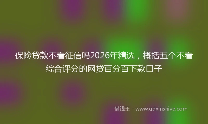 保险贷款不看征信吗2026年精选，概括五个不看综合评分的网贷百分百下款口子