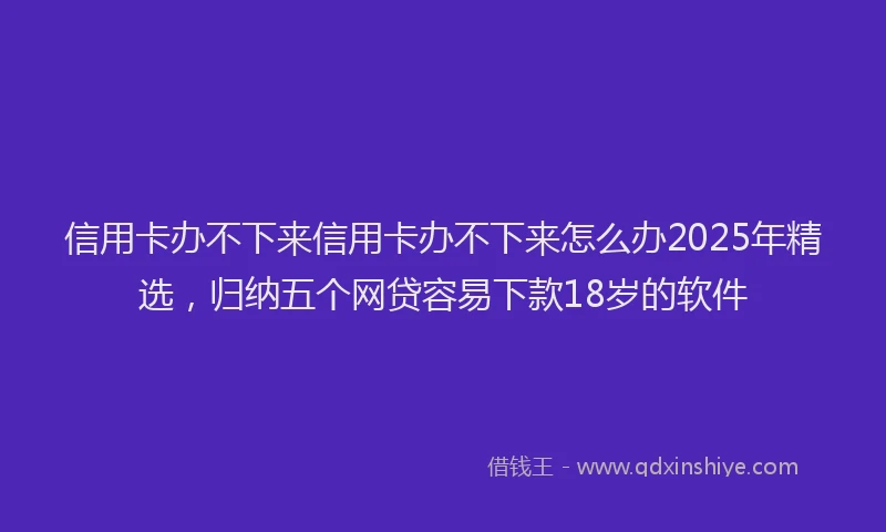 信用卡办不下来信用卡办不下来怎么办2025年精选，归纳五个网贷容易下款18岁的软件