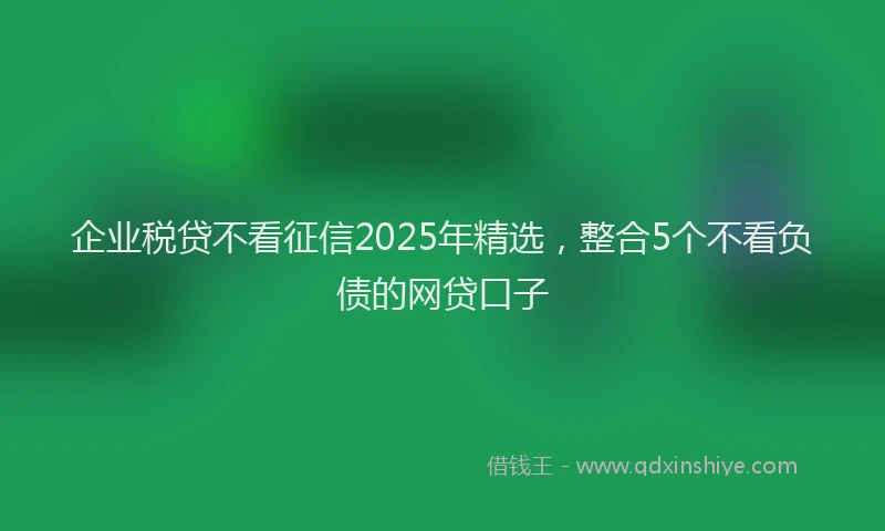 企业税贷不看征信2025年精选，整合5个不看负债的网贷口子