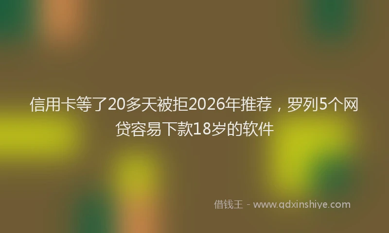 信用卡等了20多天被拒2026年推荐，罗列5个网贷容易下款18岁的软件