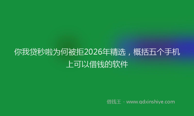 你我贷秒啦为何被拒2026年精选，概括五个手机上可以借钱的软件