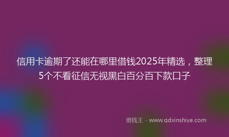 信用卡逾期了还能在哪里借钱2025年精选，整理5个不看征信无视黑白百分百下款口子