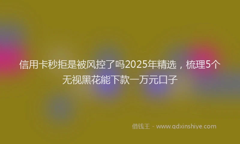 信用卡秒拒是被风控了吗2025年精选,梳理5个无视黑花能下款一万元口子