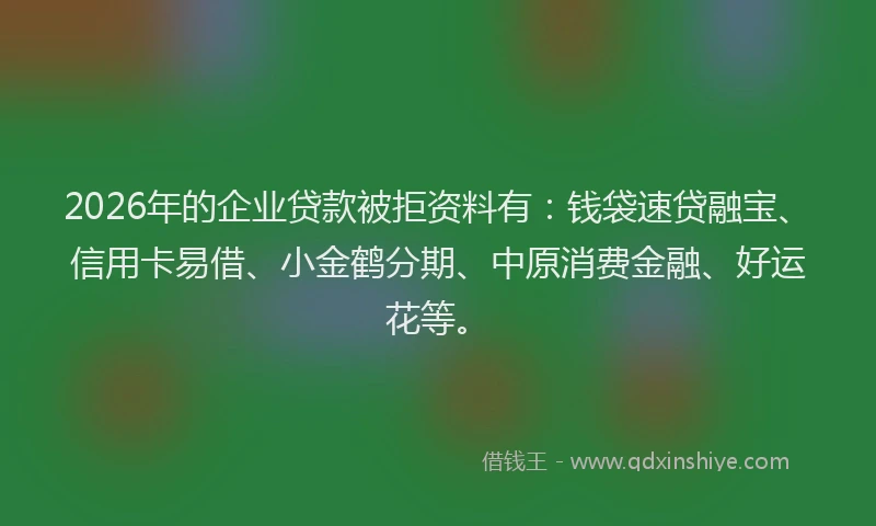 2026年的企业贷款被拒资料有：钱袋速贷融宝、信用卡易借、小金鹤分期、中原消费金融、好运花等。