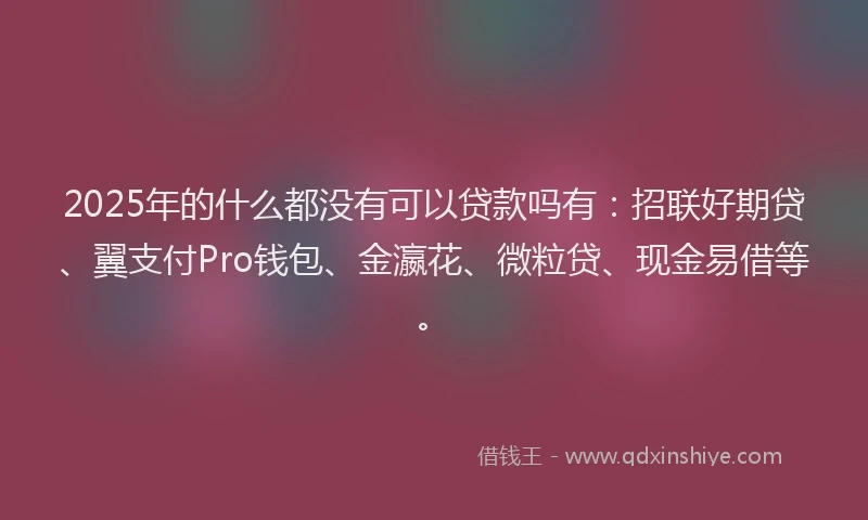 2025年的什么都没有可以贷款吗有：招联好期贷、翼支付Pro钱包、金瀛花、微粒贷、现金易借等。