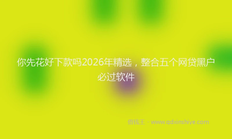 你先花好下款吗2026年精选，整合五个网贷黑户必过软件
