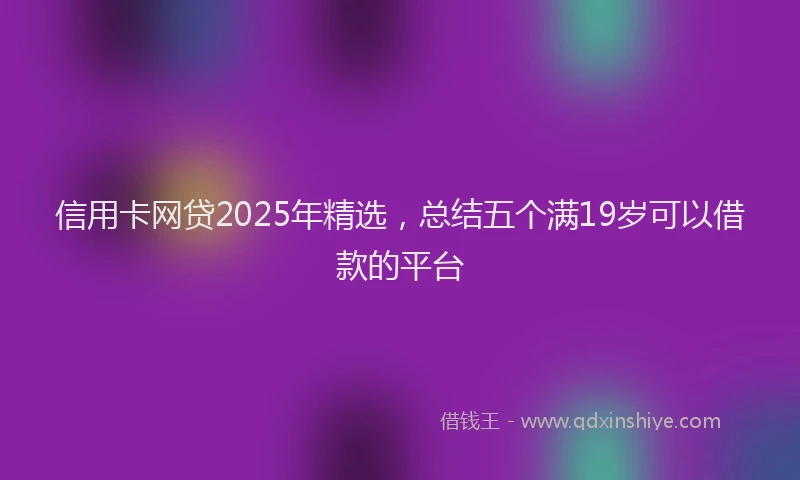 信用卡网贷2025年精选，总结五个满19岁可以借款的平台
