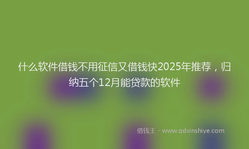 什么软件借钱不用征信又借钱快2025年推荐，归纳五个12月能贷款的软件
