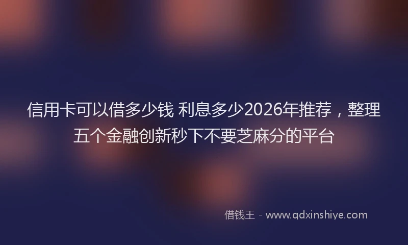 信用卡可以借多少钱 利息多少2026年推荐，整理五个金融创新秒下不要芝麻分的平台