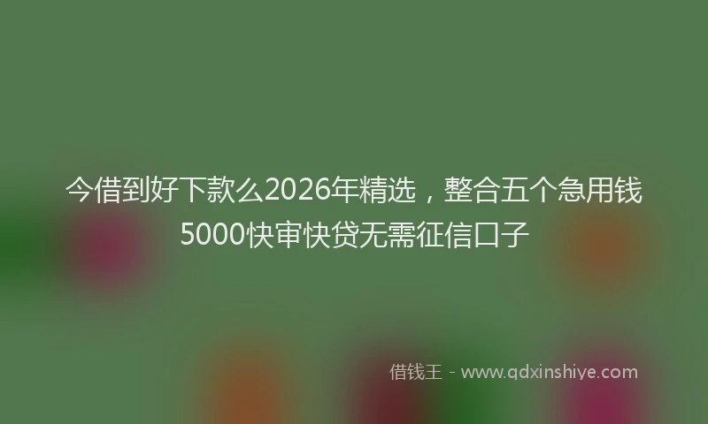 今借到好下款么2026年精选，整合五个急用钱5000快审快贷无需征信口子