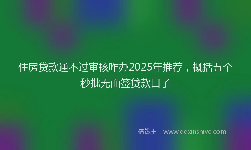 住房贷款通不过审核咋办2025年推荐，概括五个秒批无面签贷款口子
