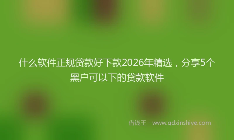 什么软件正规贷款好下款2026年精选，分享5个黑户可以下的贷款软件
