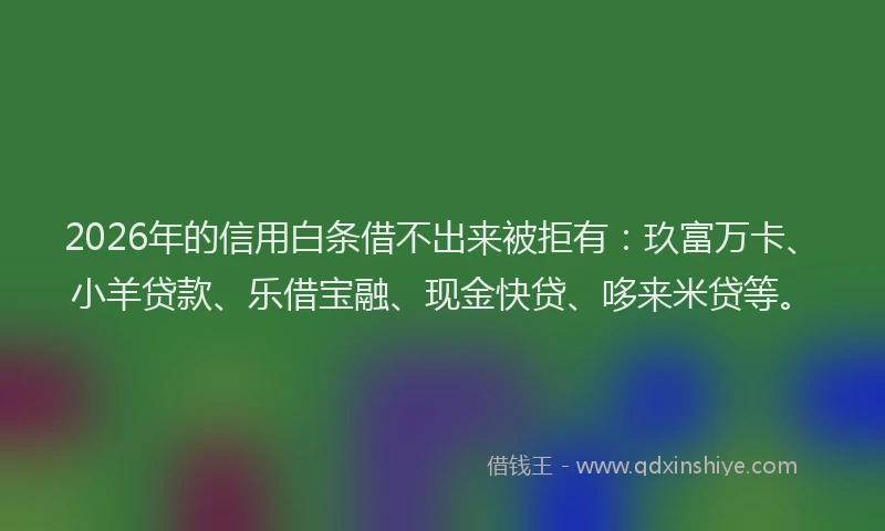 2026年的信用白条借不出来被拒有:玖富万卡、小羊贷款、乐借宝融、现金快贷、哆来米贷等。