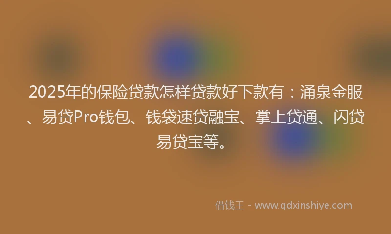2025年的保险贷款怎样贷款好下款有：涌泉金服、易贷Pro钱包、钱袋速贷融宝、掌上贷通、闪贷易贷宝等。
