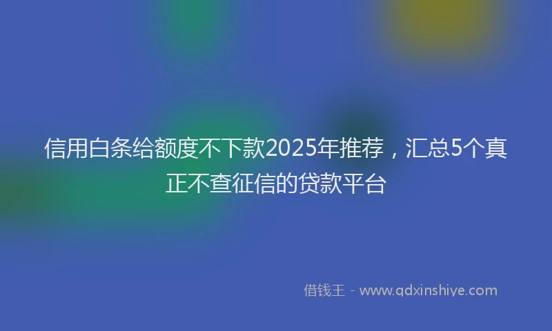 信用白条给额度不下款2025年推荐，汇总5个真正不查征信的贷款平台