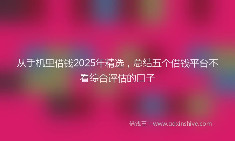 从手机里借钱2025年精选,总结五个借钱平台不看综合评估的口子