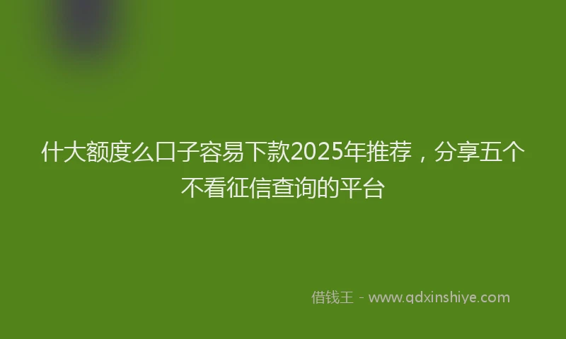什大额度么口子容易下款2025年推荐，分享五个不看征信查询的平台