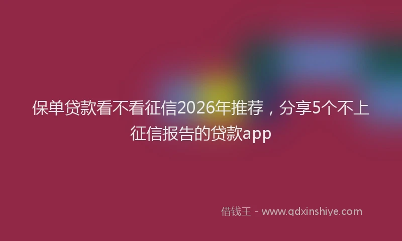 保单贷款看不看征信2026年推荐，分享5个不上征信报告的贷款app