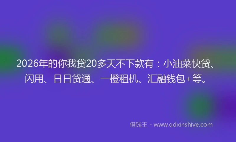 2026年的你我贷20多天不下款有：小油菜快贷、闪用、日日贷通、一橙租机、汇融钱包+等。