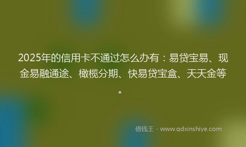 2025年的信用卡不通过怎么办有：易贷宝易、现金易融通途、橄榄分期、快易贷宝盒、天天金等。