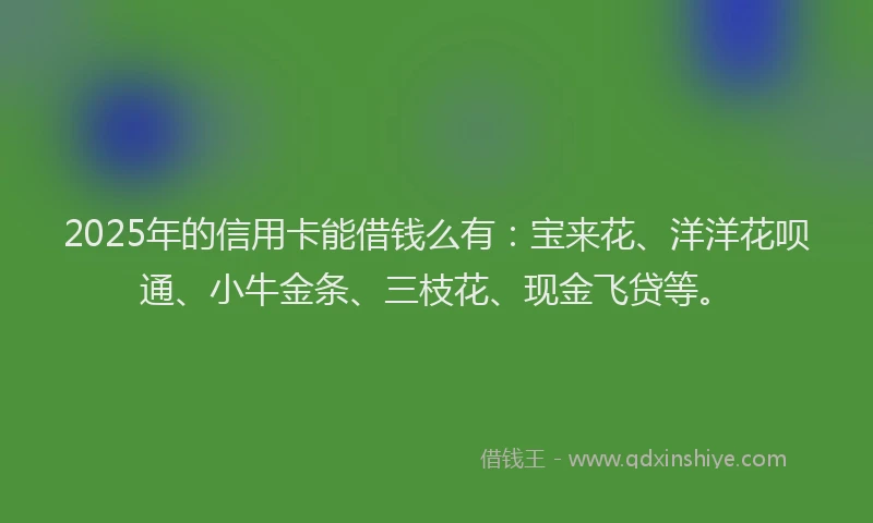 2025年的信用卡能借钱么有:宝来花、洋洋花呗通、小牛金条、三枝花、现金飞贷等。