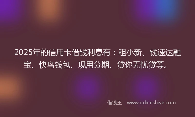 2025年的信用卡借钱利息有：租小新、钱速达融宝、快鸟钱包、现用分期、贷你无忧贷等。