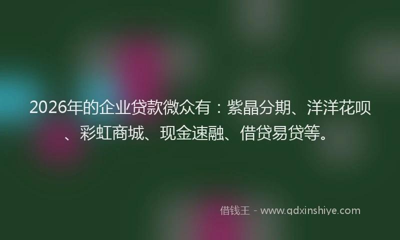 2026年的企业贷款微众有:紫晶分期、洋洋花呗、彩虹商城、现金速融、借贷易贷等。