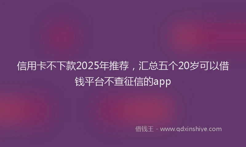 信用卡不下款2025年推荐，汇总五个20岁可以借钱平台不查征信的app