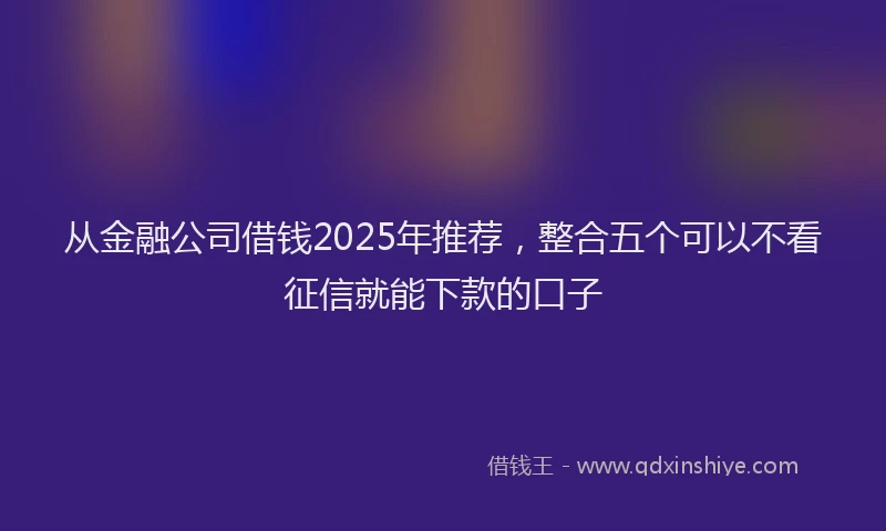 从金融公司借钱2025年推荐，整合五个可以不看征信就能下款的口子