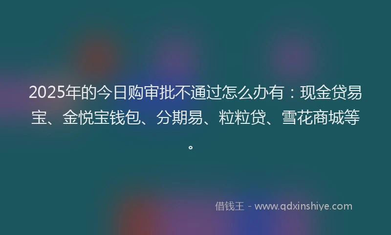 2025年的今日购审批不通过怎么办有：现金贷易宝、金悦宝钱包、分期易、粒粒贷、雪花商城等。