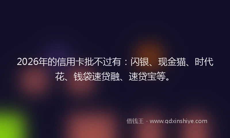 2026年的信用卡批不过有：闪银、现金猫、时代花、钱袋速贷融、速贷宝等。